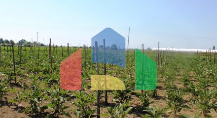 Продаж - Земельна ділянка 6100 m² на Олімпійській Рив'єрі