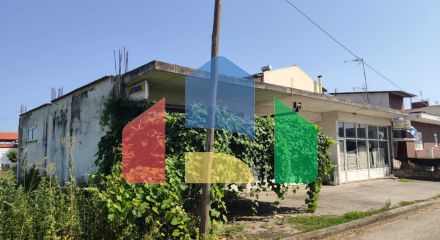 Продаж - Бізнес 240 m² на Олімпійській Рив'єрі