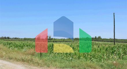 Продажа - Земельный участок 6830 m² на Олимпийской Ривьере