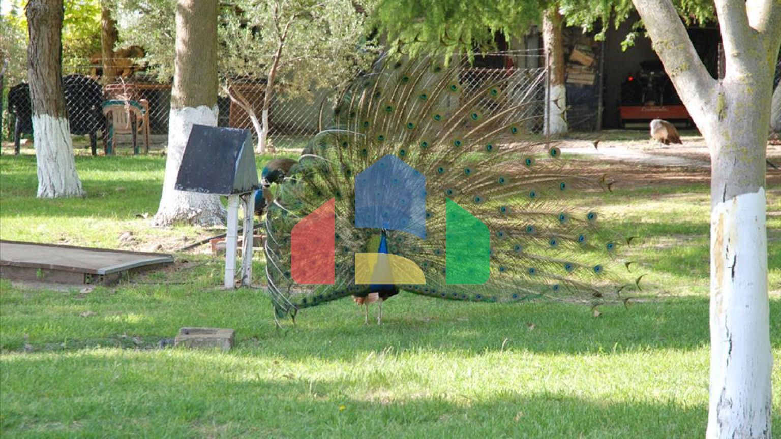 Продаж - Вілла 285 m² на Олімпійській Рив'єрі