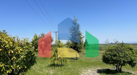 Продажа - Земельный участок 14825 m² на Олимпийской Ривьере