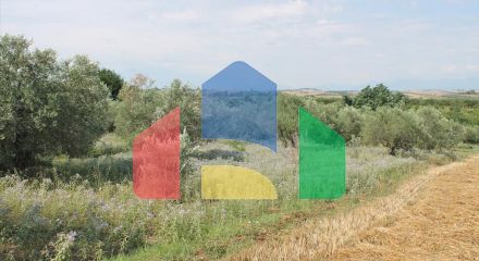 Продажа - Земельный участок 5000 m² на Олимпийской Ривьере