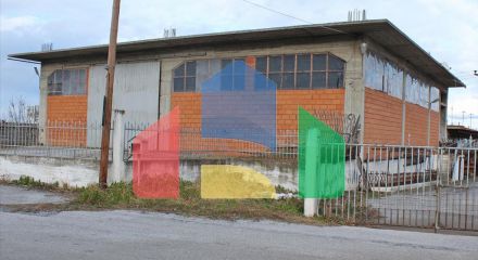 For Sale - Business 1000 m² on the Olympic Coast
