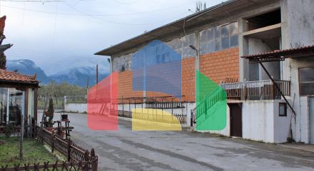 For Sale - Business 1000 m² on the Olympic Coast