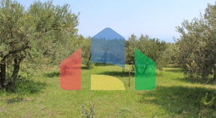 Продажа - Земельный участок 8125 m² на Олимпийской Ривьере