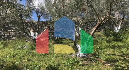 Продажа - Коттедж 80 m² на Олимпийской Ривьере