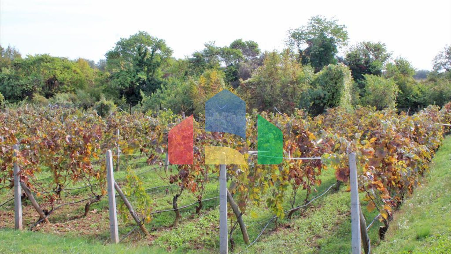 Продажа - Вилла 220 m² на Олимпийской Ривьере