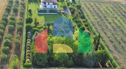 For Sale - Villa 440 m² on the Olympic Coast