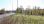 Продажа - Земельный участок 2100 m² на Олимпийской Ривьере