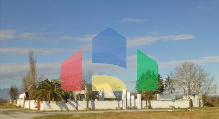 Продаж - Бізнес 350 m² на Олімпійській Рив'єрі