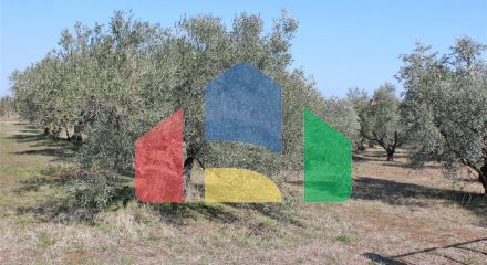 Продажа - Земельный участок 4000 m² на Олимпийской Ривьере