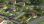 For Sale - Land 883 m² on the Olympic Coast