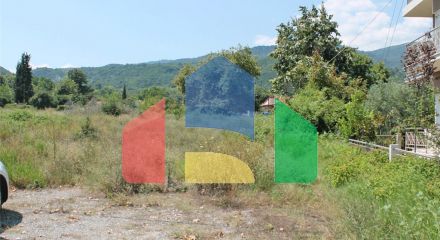 Продажа - Земельный участок 4600 m² на Олимпийской Ривьере