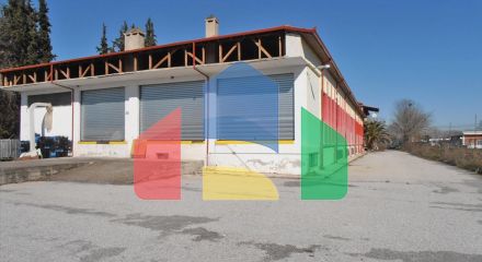 Продажа - Бизнес 2524 m² на Олимпийской Ривьере