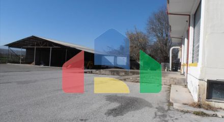 Продажа - Бизнес 2524 m² на Олимпийской Ривьере