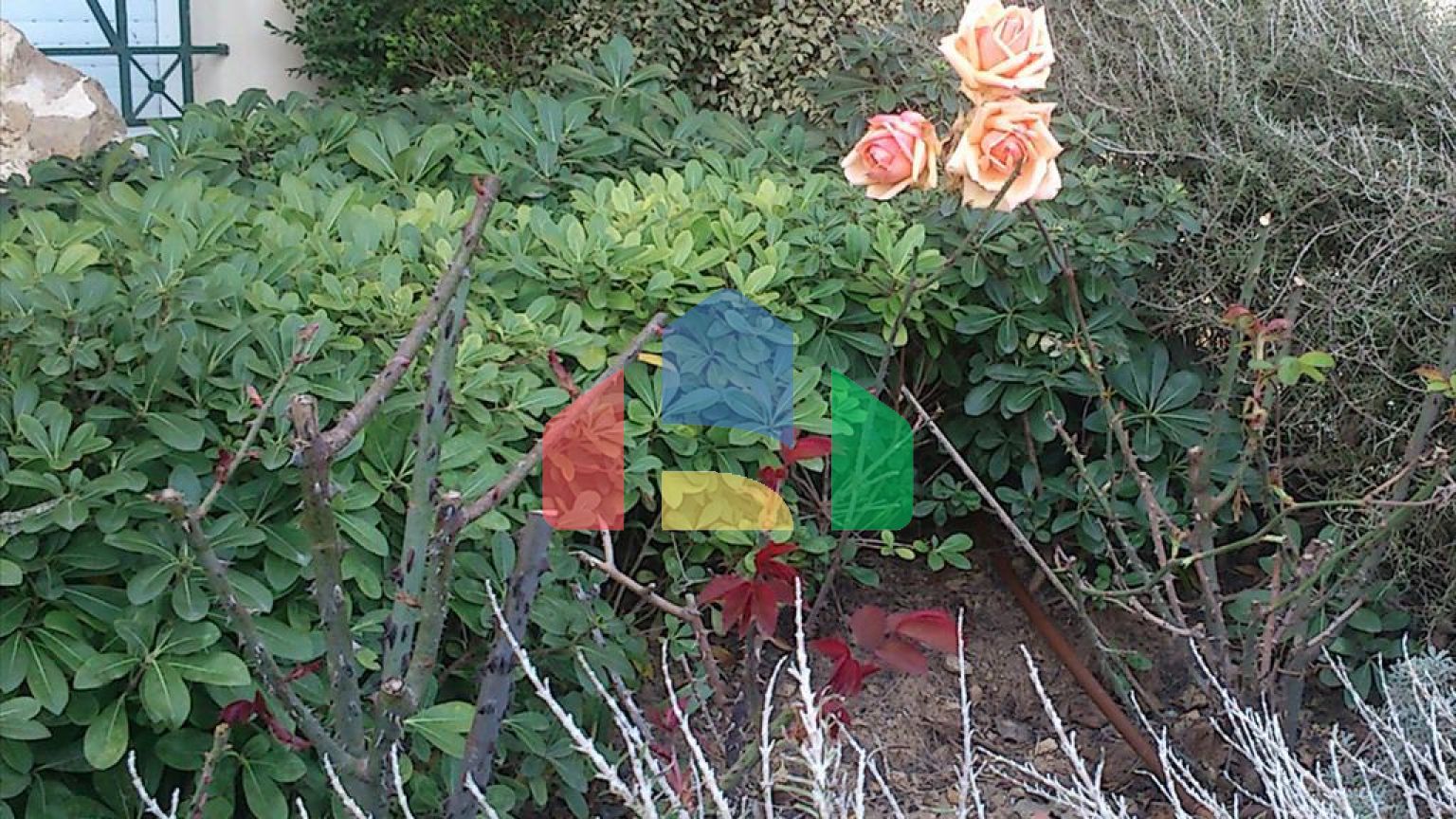 Продажа - Коттедж 159 m² в пригороде Салоник