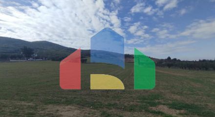 Продажа - Земельный участок 6000 m² в пригороде Салоник