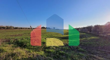 For Sale - Land 9375 m² in the suburbs of Thessaloniki