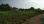 For Sale - Land 573 m² in the suburbs of Thessaloniki