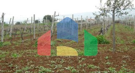 Продажа - Вилла 1300 m² в пригороде Салоник