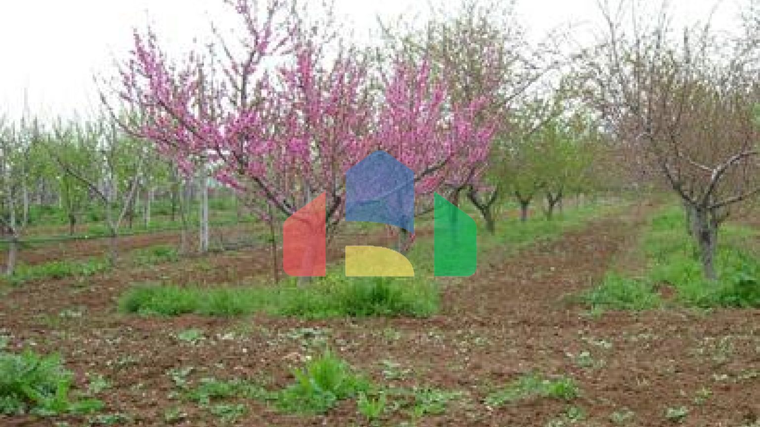 Продажа - Вилла 1300 m² в пригороде Салоник