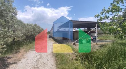 For Sale - Building 900 m² in the suburbs of Thessaloniki