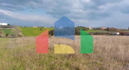 For Sale - Land 6400 m² in the suburbs of Thessaloniki