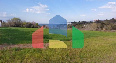 For Sale - Land 6400 m² in the suburbs of Thessaloniki