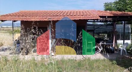 For Sale - Land 9500 m² in the suburbs of Thessaloniki