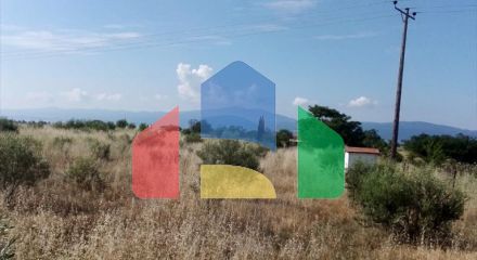 For Sale - Land 9500 m² in the suburbs of Thessaloniki