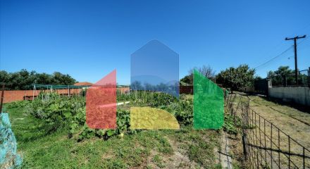 Продажа - Вилла 1168 m² в пригороде Салоник