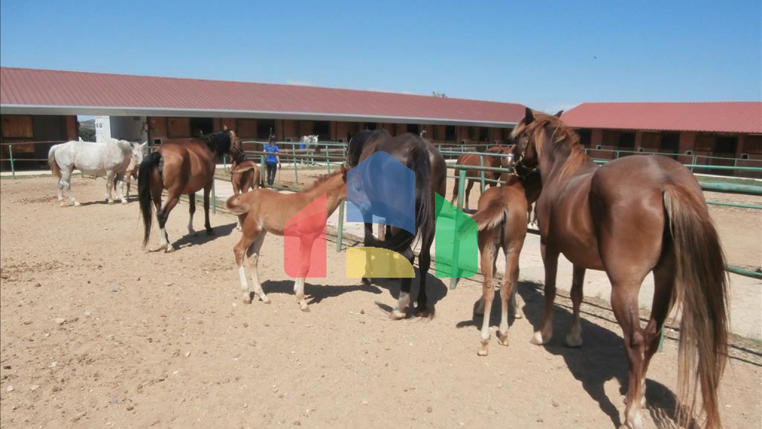 Продажа - Бизнес 1600 m² в пригороде Салоник