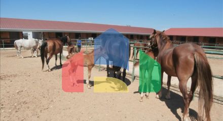 Продажа - Бизнес 1600 m² в пригороде Салоник