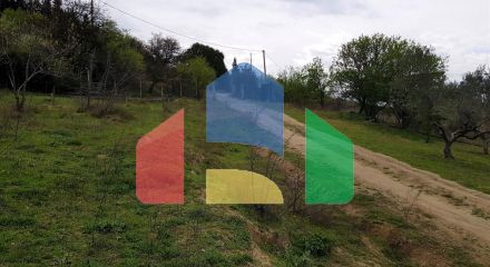 For Sale - Land 12000 m² in the suburbs of Thessaloniki