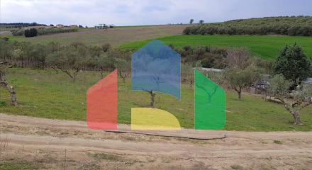 For Sale - Land 12000 m² in the suburbs of Thessaloniki