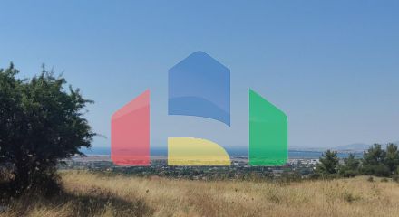 Продажа - Земельный участок 6000 m² в пригороде Салоник