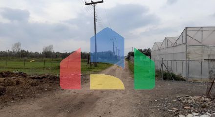 Продажа - Земельный участок 590 m² в пригороде Салоник