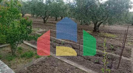 Продажа - Коттедж 230 m² в пригороде Салоник Продажа - Коттедж 230 m² в пригороде Салоник