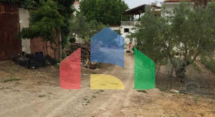 Продаж - Земельна ділянка 5000 m² в передмісті Салонік