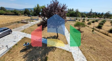 Продаж - Котедж 320 m² в передмісті Салонік Продаж - Котедж 320 m² в передмісті Салонік