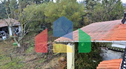 Продаж - Котедж 250 m² в передмісті Салонік Продаж - Котедж 250 m² в передмісті Салонік