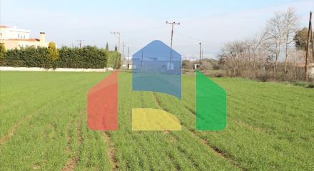 For Sale - Land in the suburbs of Thessaloniki