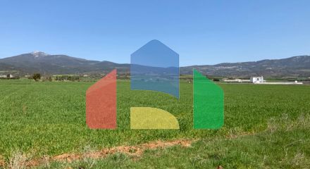 Продаж - Земельна ділянка 8200 m² в передмісті Салонік