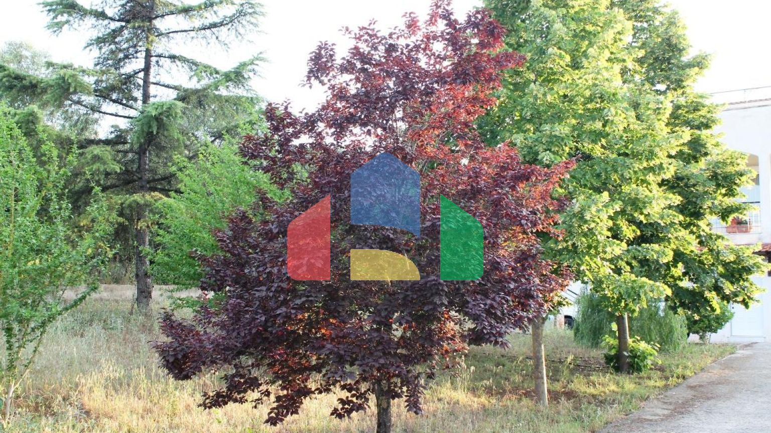 Продаж - Котедж 350 m² в передмісті Салонік