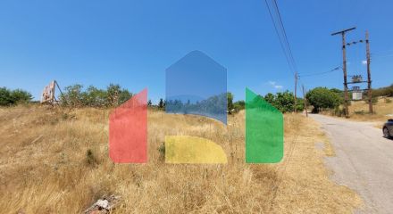 Продаж - Земельна ділянка 7000 m² в передмісті Салонік Продаж - Земельна ділянка 7000 m² в передмісті Салонік