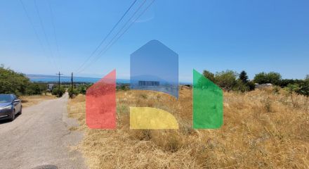 Продаж - Земельна ділянка 7000 m² в передмісті Салонік Продаж - Земельна ділянка 7000 m² в передмісті Салонік