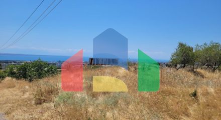 Продаж - Земельна ділянка 7000 m² в передмісті Салонік Продаж - Земельна ділянка 7000 m² в передмісті Салонік