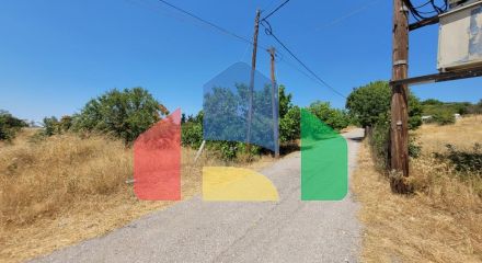 Продаж - Земельна ділянка 7000 m² в передмісті Салонік Продаж - Земельна ділянка 7000 m² в передмісті Салонік