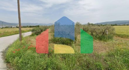Продажа - Земельный участок 5850 m² в пригороде Салоник