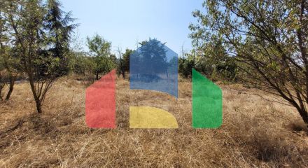 For Sale - Land 5000 m² in the suburbs of Thessaloniki